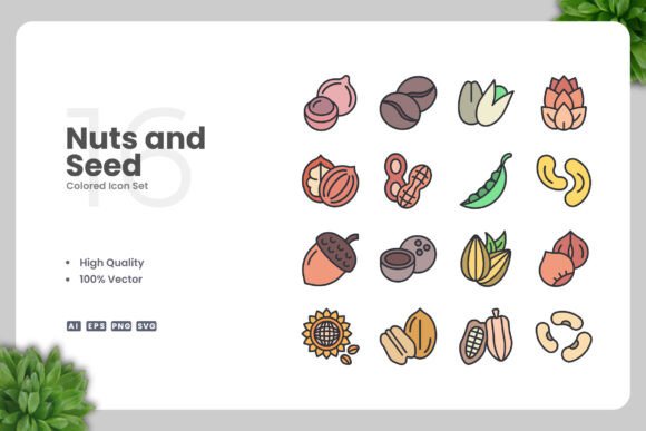 Nuts and Seed Colored Icons for Modern Graphics