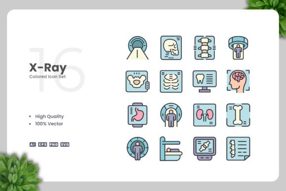 X-Ray Colored Icons: Modern Graphics for Clean Visuals